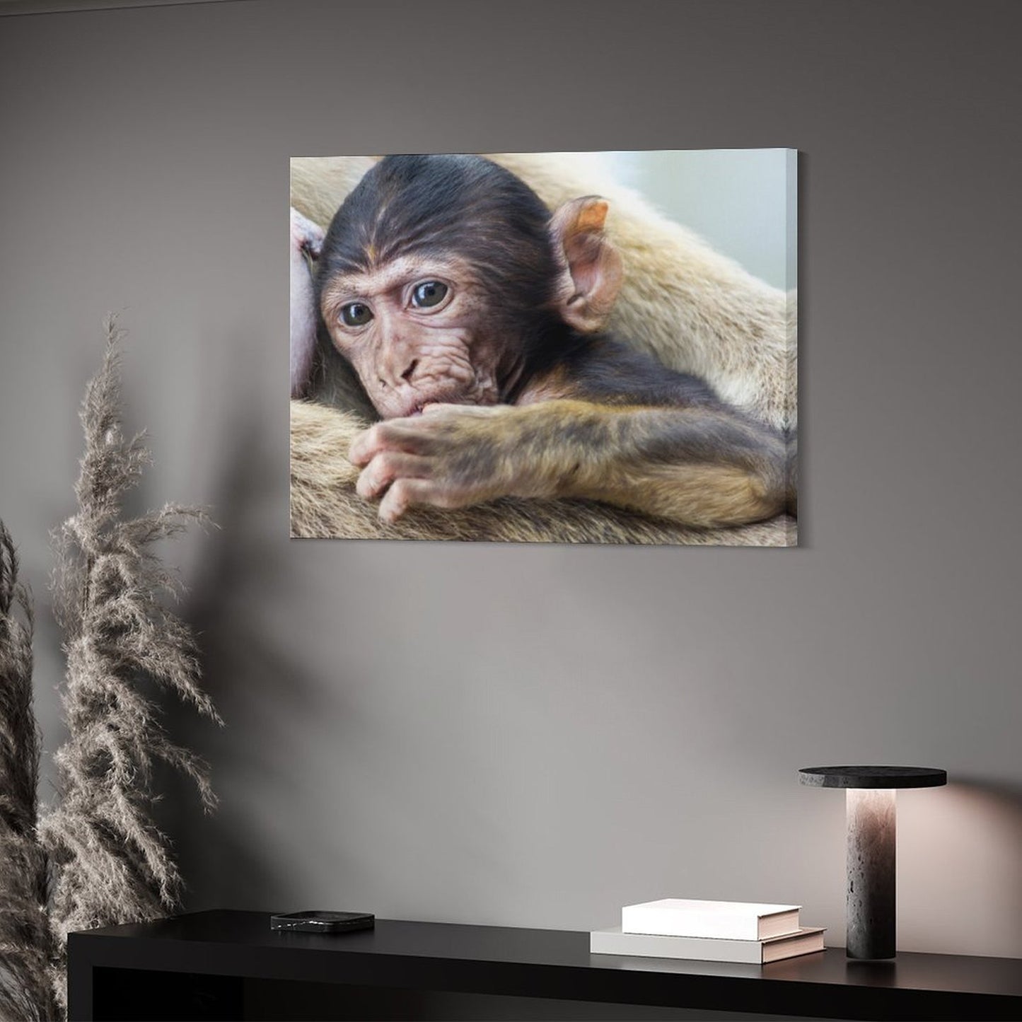 Baby Monkey Wall Art Framed Animal Canvas Print-012