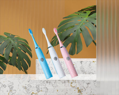 Electric Toothbrush Set Y803-4 Includes 4 Brush Heads Battery Operated Travel Toothbrush Affordable Gift Idea