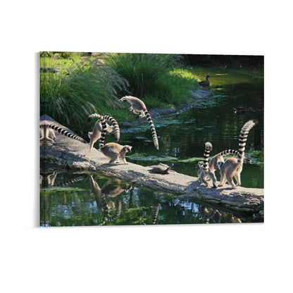 Cute Lemur Canvas Artwork Wildlife Wall Decoration-03
