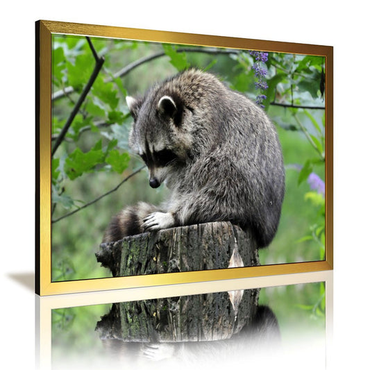 Adorable Raccoon Wall Art Forest Tree Scene Gold Frame-14