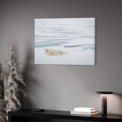 Polar Bear on Ice Canvas Wall Art – Arctic Wildlife Home Decor-012