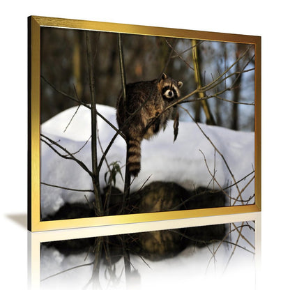 Forest Raccoon Wall Art Canvas Print Nature Decoration-06