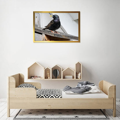 Modern Bird Photography Wall Art – Blackbird on Wood Frame Print- 126