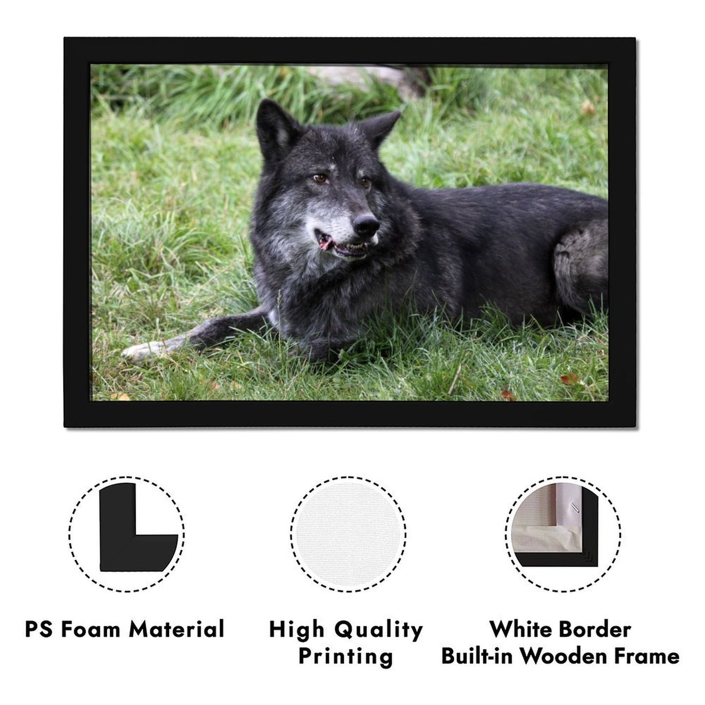 Black Wolves Wall Picture Wildlife Animal Canvas Art-33