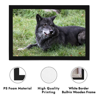 Black Wolves Wall Picture Wildlife Animal Canvas Art-33