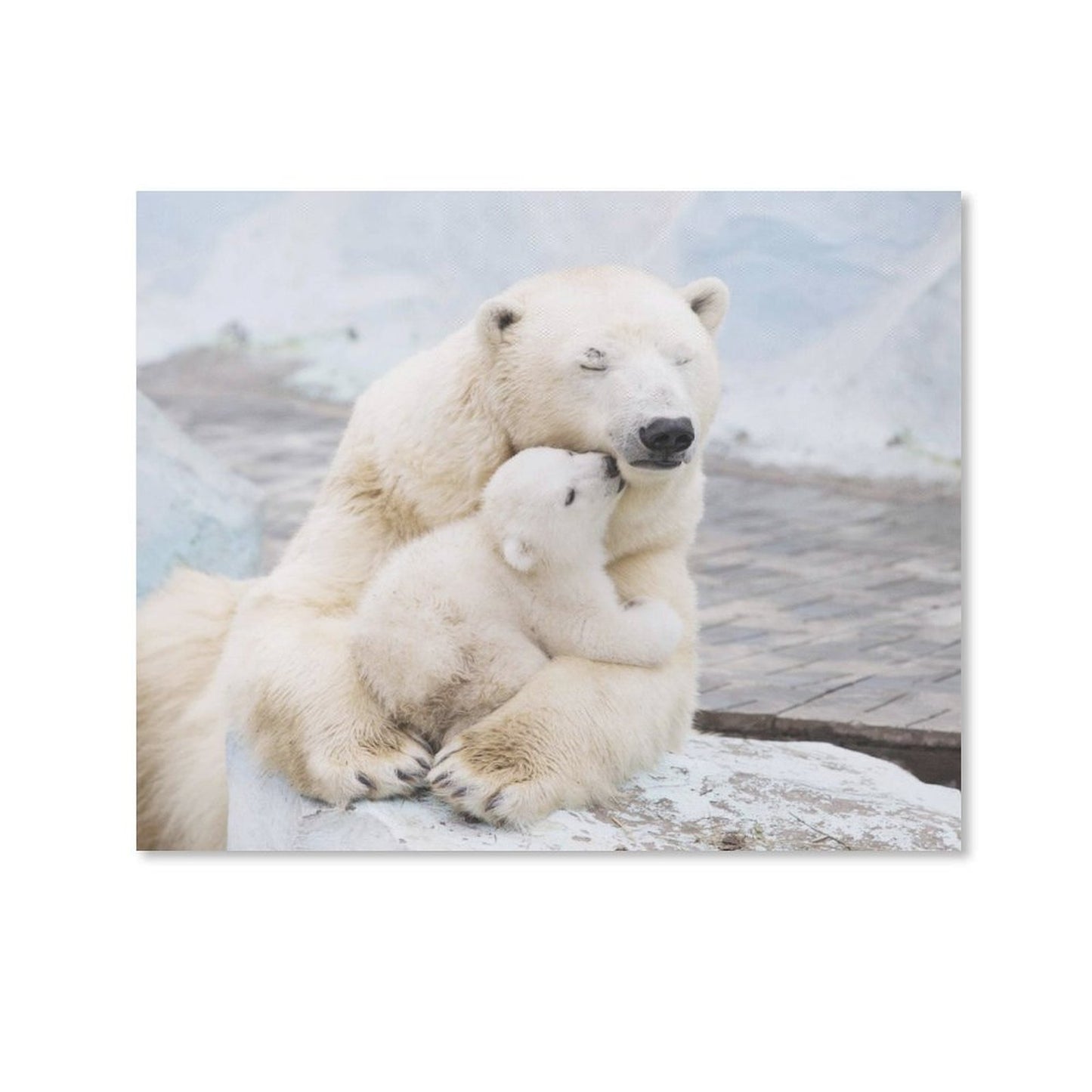Polar Bear Mother and Cub Canvas Wall Art – Arctic Love Home Decor-011
