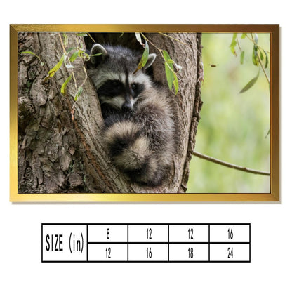 Raccoon in Tree Wall Art Gold Frame Animal Home Decor-011
