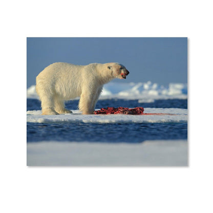 Arctic Predator Polar Bear Hunting Scene Canvas Art-07