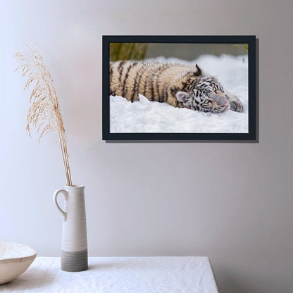 Snow Tiger Cub Canvas Wall Art