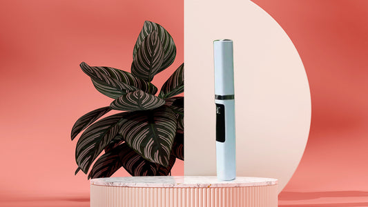 Portable Teeth Cleaner Type-C Rechargeable with LED Light 5 Adjustable Modes 4 Interchangeable Brush Heads for Home Travel Daily Teeth Cleaning Electric Cleaner Christmas Present