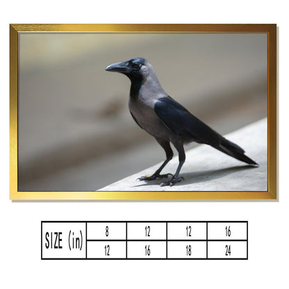 Minimalist Crow Wall Art – Modern Black Bird Photography Print- 135
