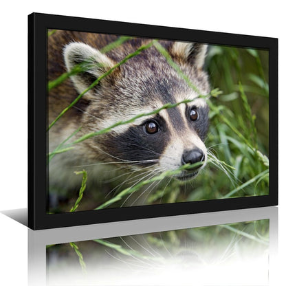 Cute Raccoon Canvas Painting with Golden Wooden Frame-012
