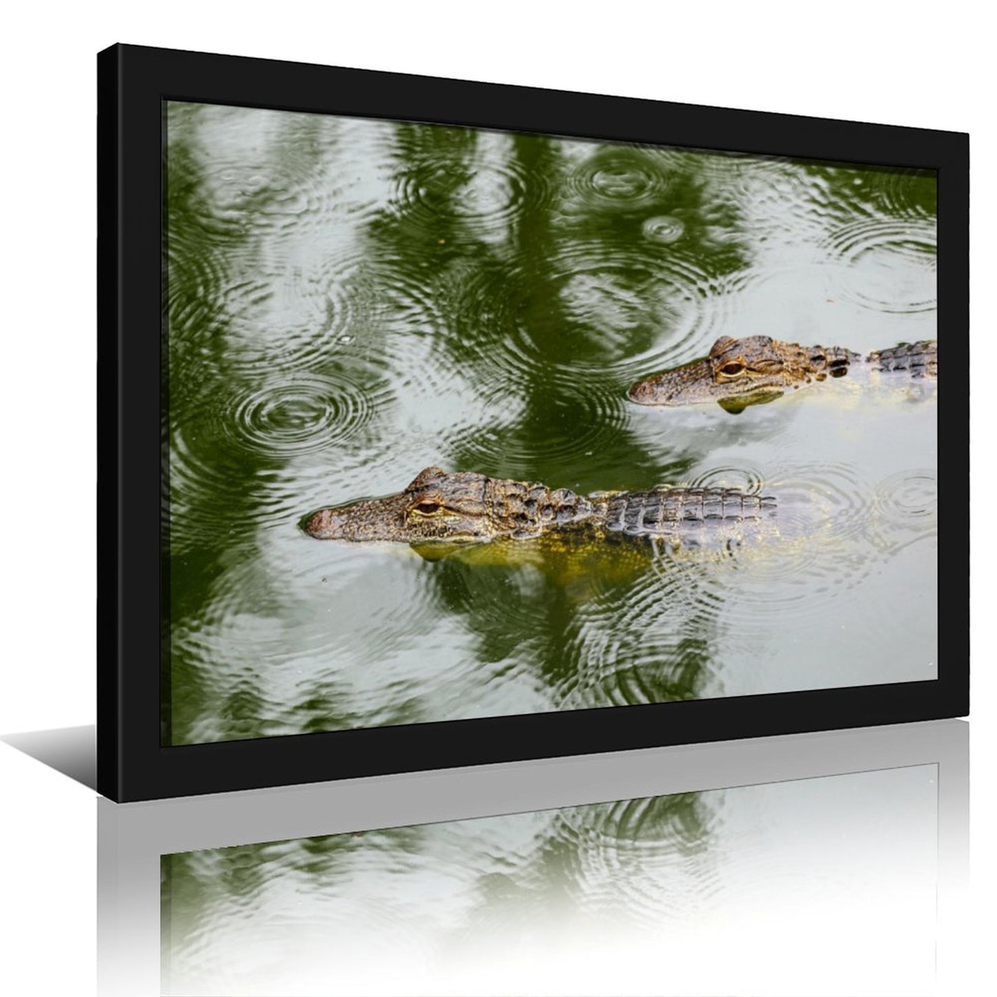 Wildlife Crocodile Wall Art Black Frame Home Decoration-109