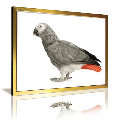 Tropical Toucan Duo Wall Art – Modern Nature Photography Print-13