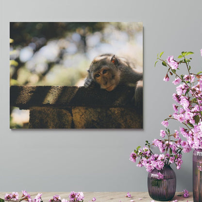 Cute Baby Monkey Canvas Painting Wildlife Home Decor-16
