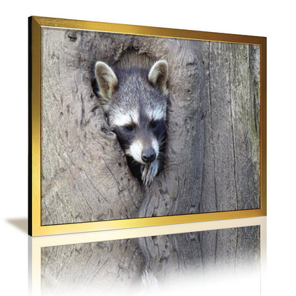 Animal Wall Picture Raccoon in Tree Hole Gold Frame-10