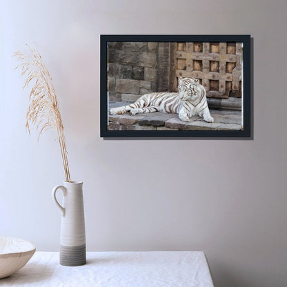 White Tiger Canvas Wall Art – Elegant Modern Animal Print Decor-14