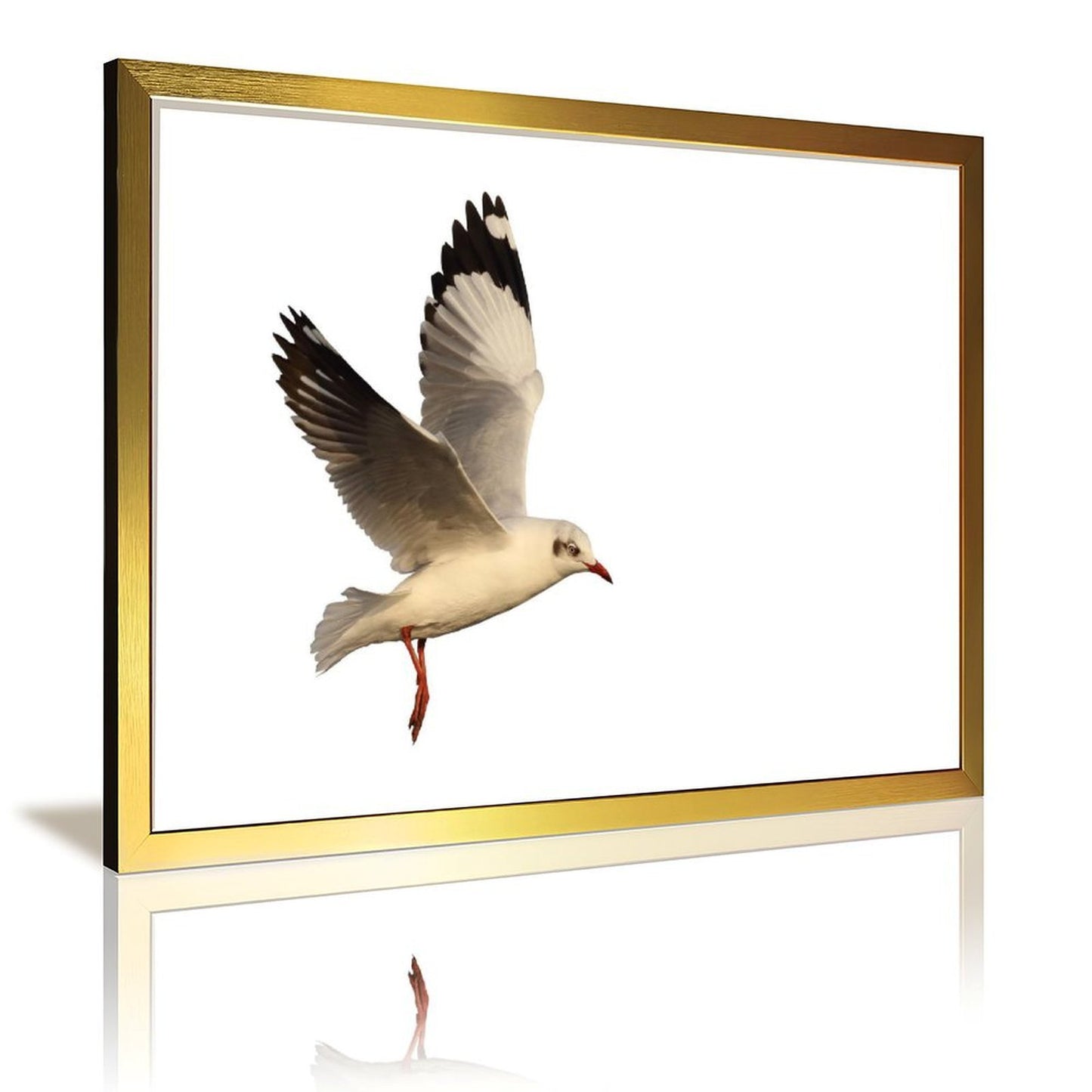 Tropical Toucan Duo Wall Art – Modern Nature Photography Print-13