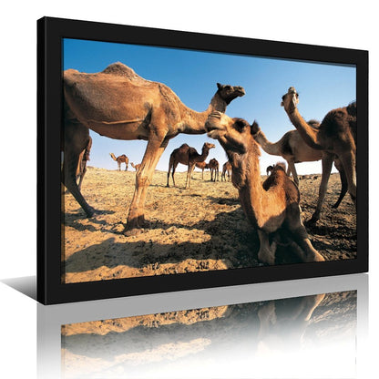 Desert Camel and Pyramid Canvas Art Modern Home Decor-02