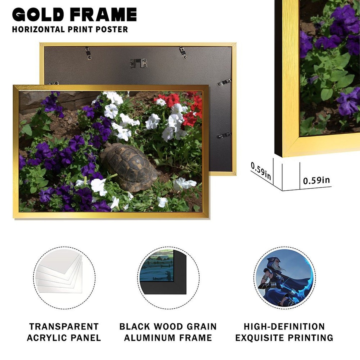 Turtle in Garden Wall Art Gold Frame Nature Decoration