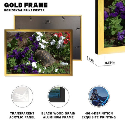 Turtle in Garden Wall Art Gold Frame Nature Decoration