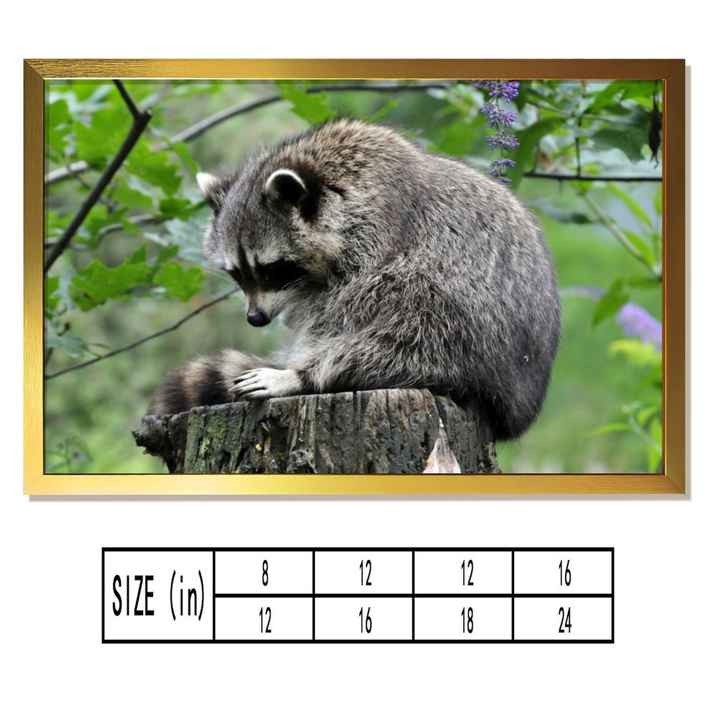 Adorable Raccoon Wall Art Forest Tree Scene Gold Frame-14