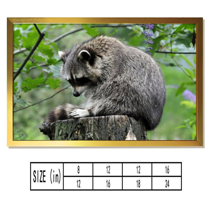 Adorable Raccoon Wall Art Forest Tree Scene Gold Frame-14