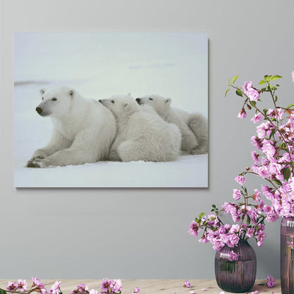 Polar Bear Family Resting on Snow Canvas Wall Art