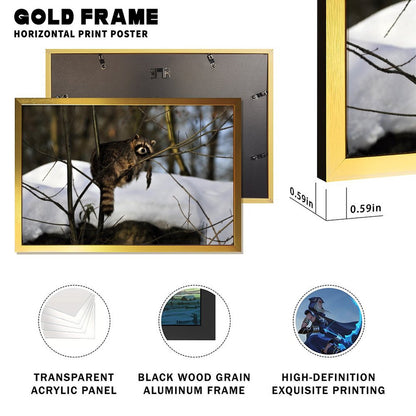 Forest Raccoon Wall Art Canvas Print Nature Decoration-06