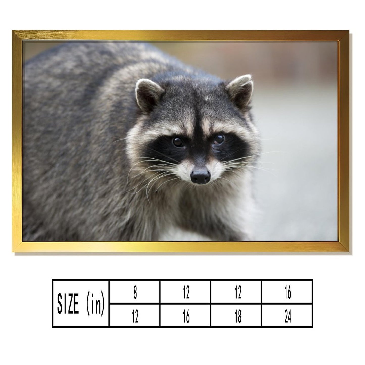 Golden Frame Raccoon Wall Painting for Living Room