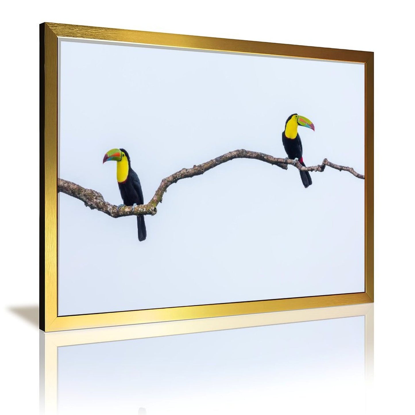 Tropical Toucan Duo Wall Art – Modern Nature Photography Print-13