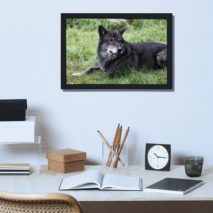 Black Wolves Wall Picture Wildlife Animal Canvas Art-33