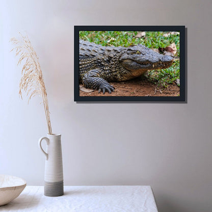 Wildlife Crocodile Wall Art Black Frame Home Decoration