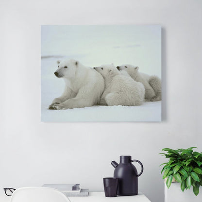 Polar Bear Family Resting on Snow Canvas Wall Art