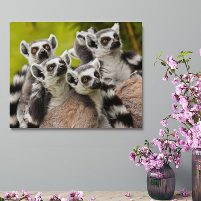 Wild Lemur Wall Picture Nature Animal Framed Decor-06