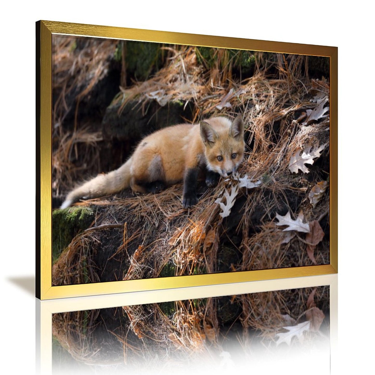 Snow Fox Wall Art with Gold Frame Nordic Home Decor-37