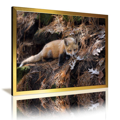 Snow Fox Wall Art with Gold Frame Nordic Home Decor-37