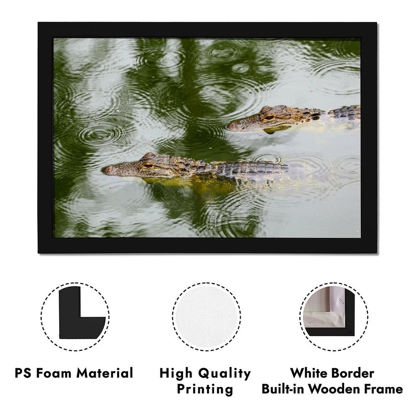 Wildlife Crocodile Wall Art Black Frame Home Decoration-109