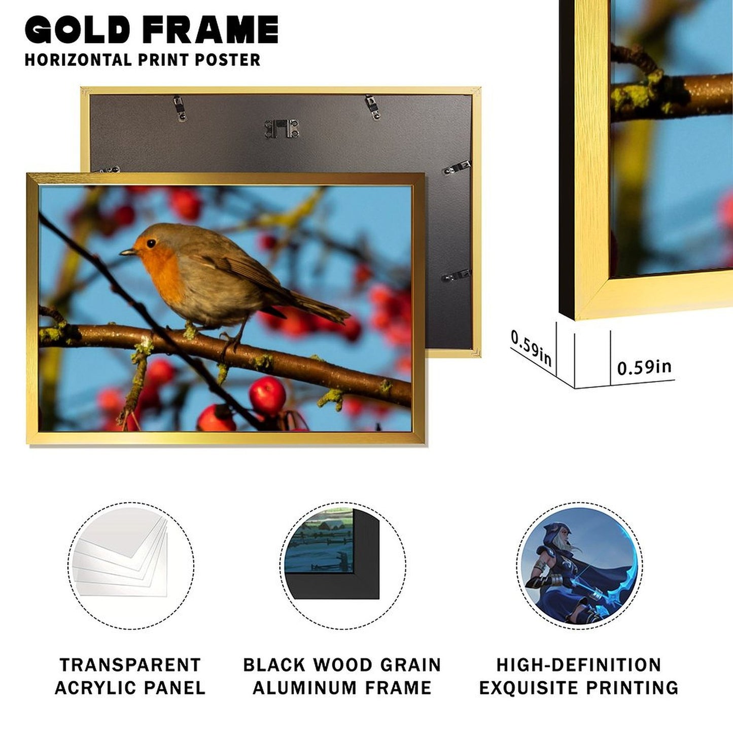 Red-Breasted Robin Canvas Wall Art – Nature Bird Photography Print-141