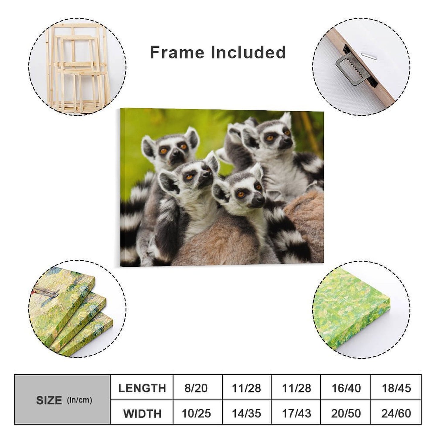 Wild Lemur Wall Picture Nature Animal Framed Decor-06