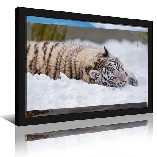 Snow Tiger Cub Canvas Wall Art – Modern Framed Home Décor (19)