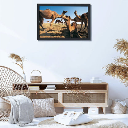 Desert Camel and Pyramid Canvas Art Modern Home Decor-02