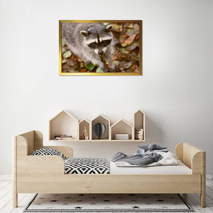 Woodland Raccoon Canvas Picture Gold Frame Home Decor-09