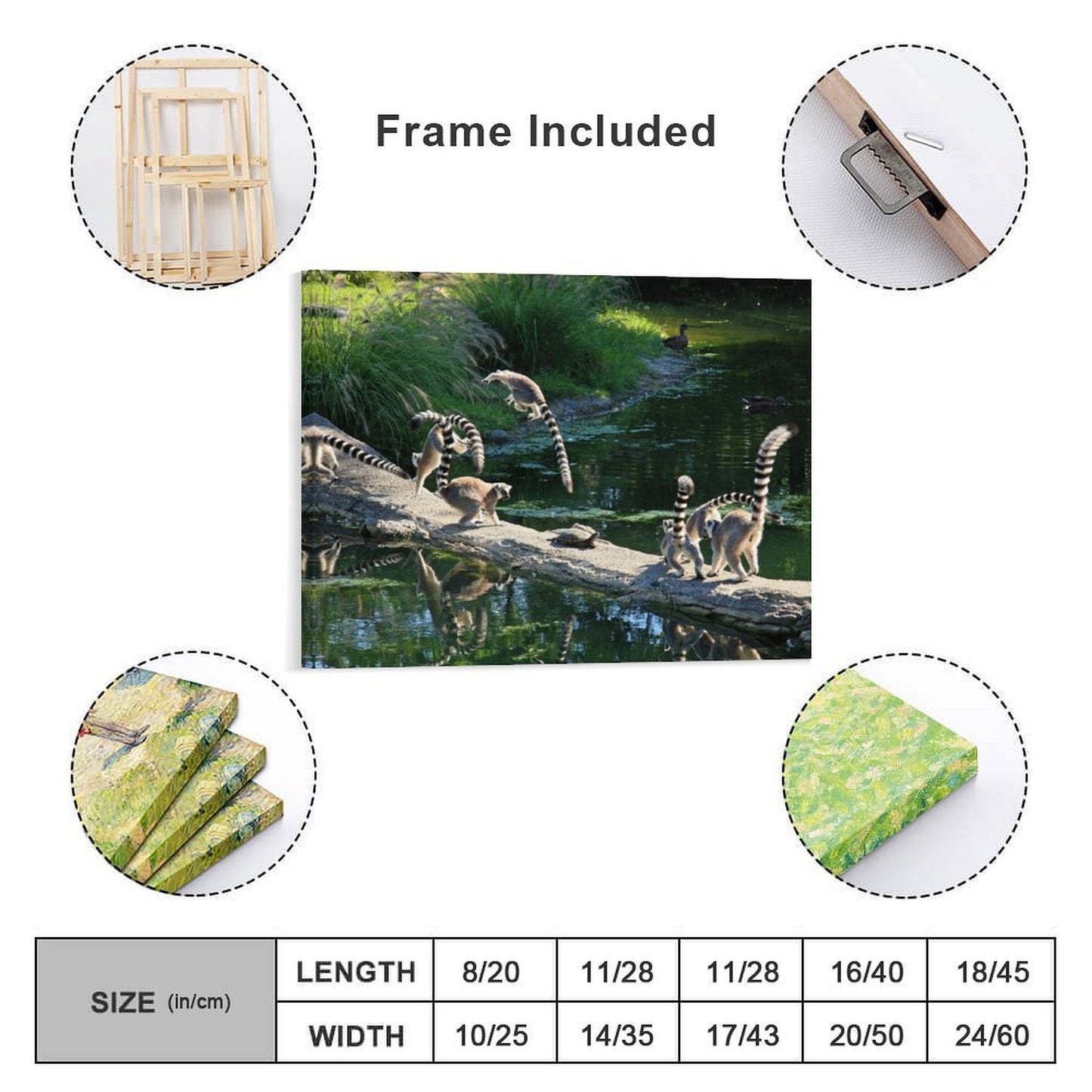 Cute Lemur Canvas Artwork Wildlife Wall Decoration-03