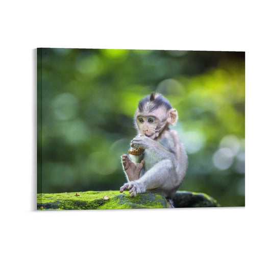 Wildlife Lemur Wall Picture Canvas Framed Artwork-06