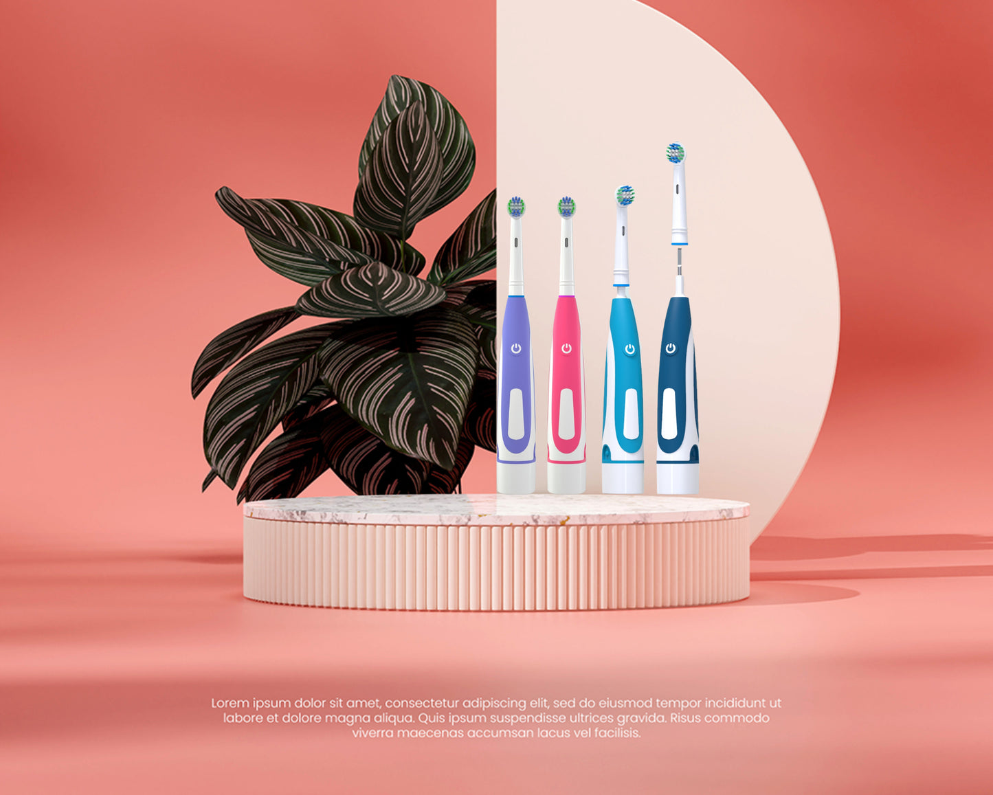 Round Head Rotating Electric Toothbrush Head Fast Cleaning Whitening Compatible with Oral-B Adult Brush Without Battery