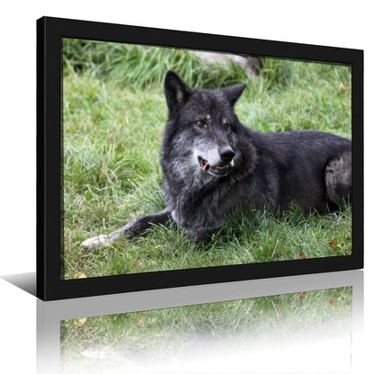 Black Wolves Wall Picture Wildlife Animal Canvas Art-33
