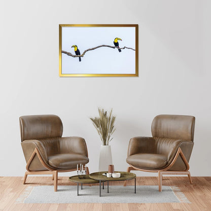 Tropical Toucan Duo Wall Art – Modern Nature Photography Print-13