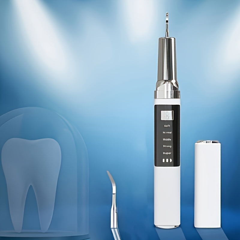 Cordless Electric Toothbrush 5 Modes USB Rechargeable 2 Replaceable Heads Dental Plaque Remover 2 LED Lights 36V Power Portable Teeth Cleaner New Year Gift