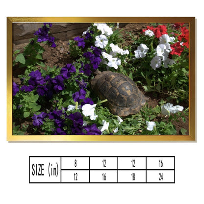 Turtle in Garden Wall Art Gold Frame Nature Decoration
